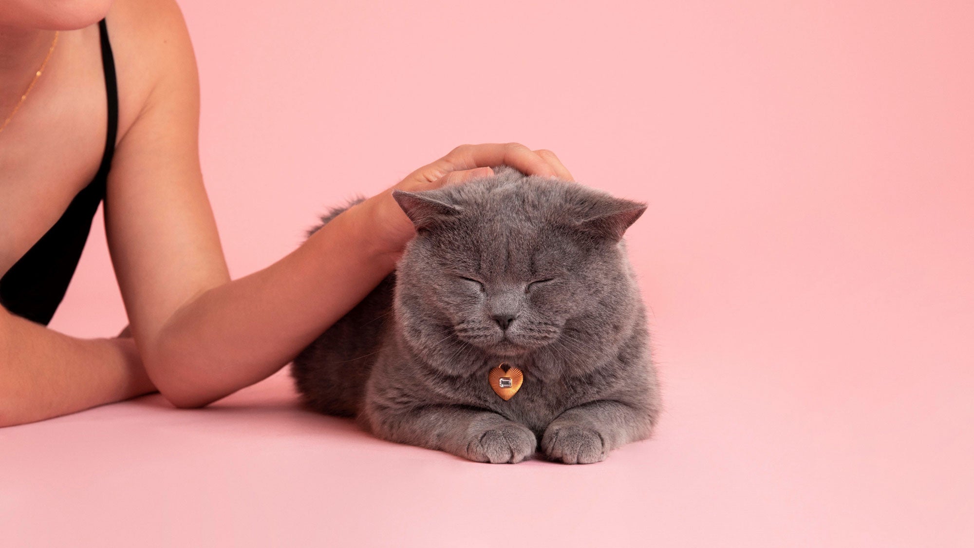 Banner_เครื่องประดับ_Queen_of_hearts_&_paws