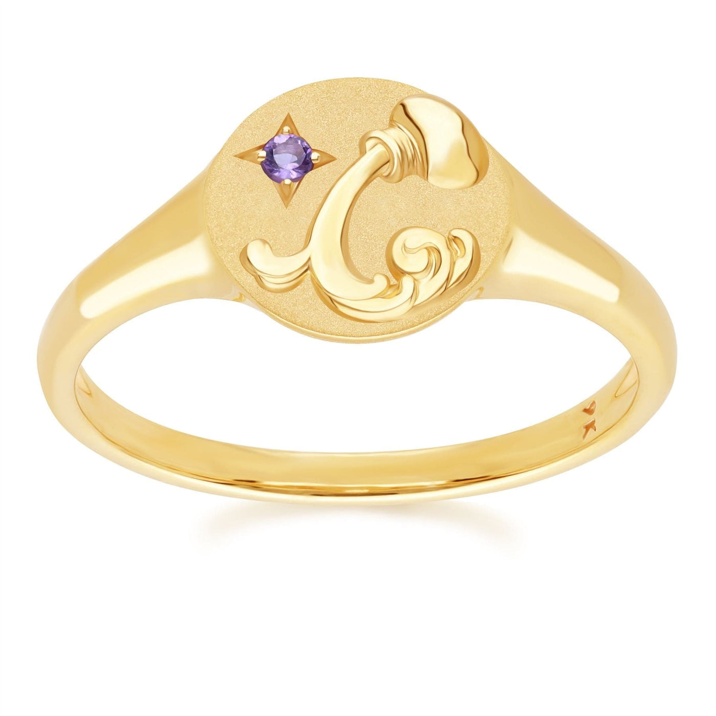 135R2080-01-9K-Amethyst-Aquarius-Zodiac-Signet-Ring